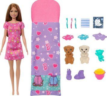 Ігровий набір лялька Барбі зі цуценятами Barbie Doll and 2 Toy Dog Figures HXN01 КБ0149 фото