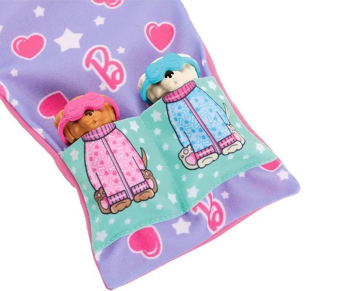 Игровой набор кукла Барби со щенками Barbie Doll and 2 Toy Dog Figures HXN01 КБ0149 фото