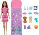 Игровой набор кукла Барби со щенками Barbie Doll and 2 Toy Dog Figures HXN01 КБ0149 фото 1