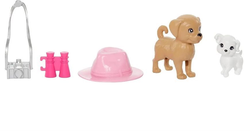 Набір Барбі і Стейсі Barbie & Stacie Doll Set with 2 Pet Dogs HRM09 КБ0151 фото