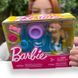 Барбі Міні Pet Цуценя Аксесуари Barbie Accessories FHY70 КБ0078 фото 4