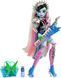 Кукла Монстер Monster High Doll Хай Фрэнки Штейн Рок-звезда HNF84 КМ0031 фото 2